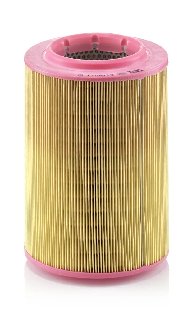 Filtre à air MANN FILTERS C17201/3 